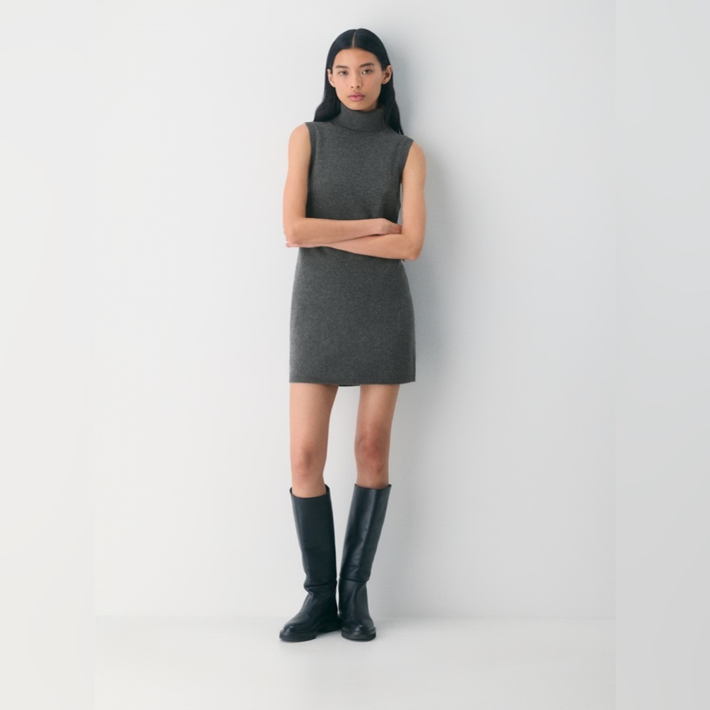 Aritzia Wilfred Flanders Wool Cashmere Dress